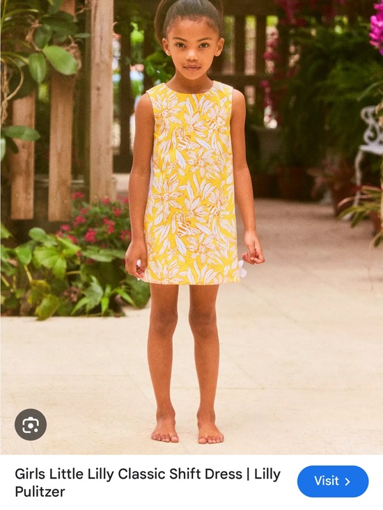 Lilly Pulitzer Other - lilly pulitzer dress size 8 NWT